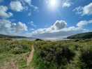 Freshwater east - closest beach