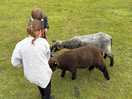 Kids enjoy feeding animals.