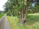 If you just like to have s nice stroll this place has it all