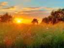 Sunset from site