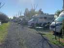 Viale