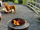 Great fire pits