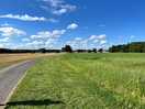 Road to beech farm