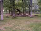 Woodland