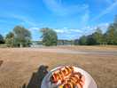 View from bbq at pitch