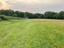 Field