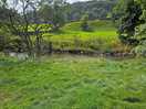 Bottom field