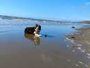Barmouth beach.