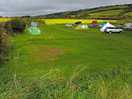 The site
