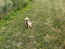 Lovely walk.