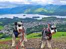 Latrigg overlooking keswick