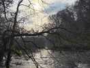 Cenarth falls