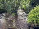 River that runs next to site