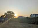 Lovely sunset