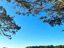 View from our camper van
