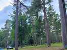 Campsite