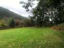 Camp field