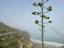 Azenhas do mar