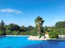 Beautiful pool area