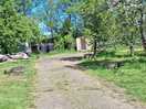Orchard
