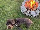 Maggie enjoying the warmth