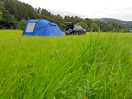 Our pitch