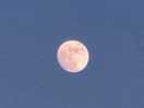 Big moon