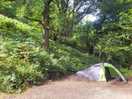 Tent pitch