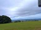 The view