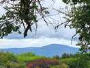Views on the grounds