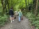 Scenic walk to town
