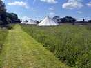 Beautifully landscaped