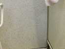 Filthy toilet and shower
