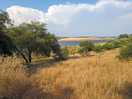 Pantano cercano