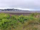 Local view