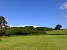 Field