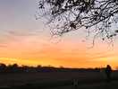 Sunset at the farm 😊