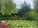 Stunning pond on the park site