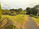 Gardens on site