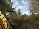 View from my tent