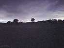 Great night time sky