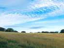 Huge field