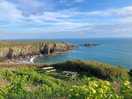 View from coastal path close to site