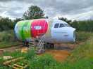 Part of an airplane alongside the road