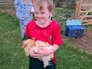 The chicken loves cuddles