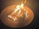 Fire pit with logs burning
