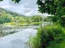 Beautiful fishing lake.