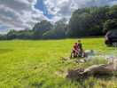 Logs in places for fire pits. great for marshmallows!