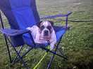 Chilling in the evening