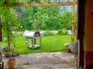 View of garden and pizza oven